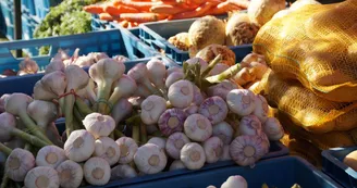 Marchés de producteurs