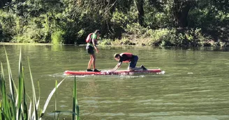 Paddle TCK