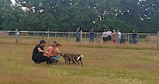 Une visite en famille pour créer un lien avec les animaux. Une visite en famille pour créer un lien avec les animaux.