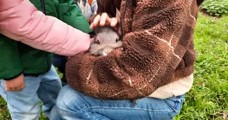 lapin-automne-ferme-pedagogique-turmeliere-lire-oa-osezmauges-animaux