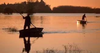 montjean-loire-angers-nantes-peche montjean-loire-angers-nantes-peche