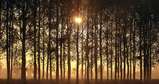 montjean-loire-soleil montjean-loire-soleil