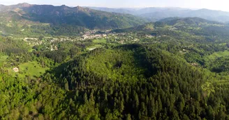 Volcan : La Coupe de Jaujac et sa coulée