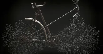Yzo