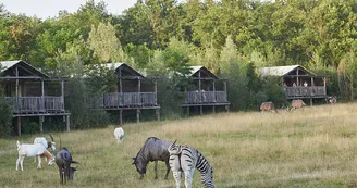 Le PAL - Parc d'attractions et animalier Le PAL - Parc d'attractions et animalier