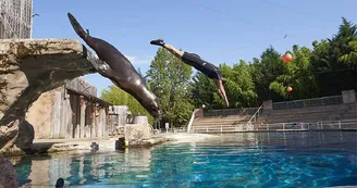 Le PAL - Parc d'attractions et animalier Le PAL - Parc d'attractions et animalier