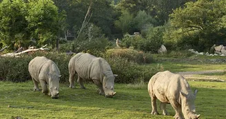 Le PAL - Parc d'attractions et animalier Le PAL - Parc d'attractions et animalier