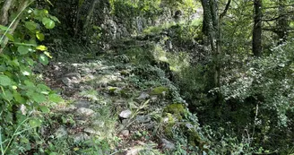 Sentier botanique de Barnas