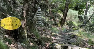 Sentier botanique de Barnas
