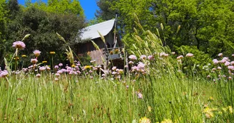 Cabane perchée La Pôlette