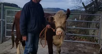 Randier Farm Randier Farm