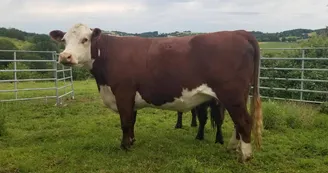 Randier Farm Randier Farm