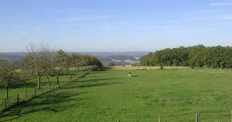 Gîte de groupe La Ferme des Réaux Gîte de groupe La Ferme des Réaux