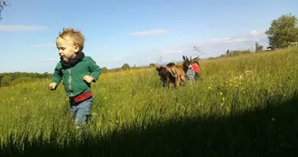Camping à la Ferme