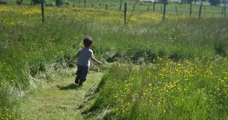 Camping à la Ferme