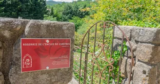 Roseraie de l'enclos de Clastres Roseraie de l'enclos de Clastres
