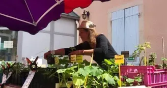 Le Potager de Pautilou Le Potager de Pautilou