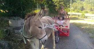 Randonnée avec un âne à la journée - Carab'âne