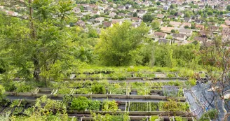 Les jardins de Hurlevents