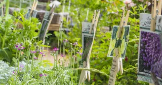 Les jardins de Hurlevents