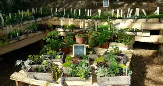 Les jardins de Hurlevents