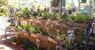 Les jardins de Hurlevents