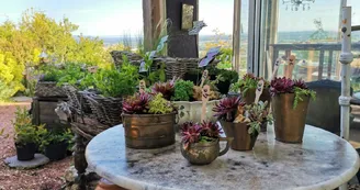 Les jardins de Hurlevents