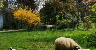 Gîte de la Mhotte Gîte de la Mhotte