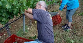 Domaine des Bragalous Domaine des Bragalous