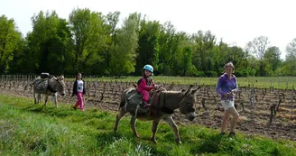 Randonnée avec un âne 4 jours - Carab'âne Randonnée avec un âne 4 jours - Carab'âne
