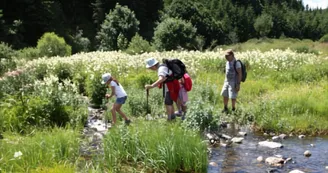 Balade et pique nique au bord de la rivière avec mon âne Balade et pique nique au bord de la rivière avec mon âne