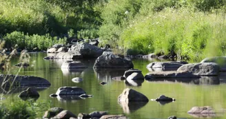 Balade et pique nique au bord de la rivière avec mon âne Balade et pique nique au bord de la rivière avec mon âne