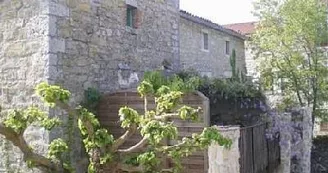 Mas les Teyssiers - Les Magnans Mas les Teyssiers - Les Magnans