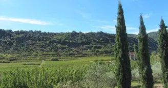 L'Annexe de la Magnanerie de Naves