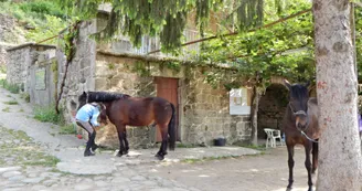 Equitation - Ferme équestre Le Foussac Equitation - Ferme équestre Le Foussac