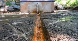 La source du Peschier