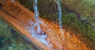 La source du Peschier