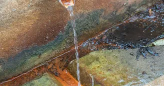 La source du Peschier