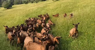 Ferme de la Louvèche