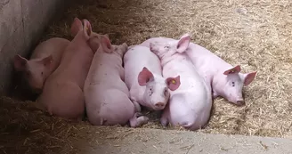 Ferme de la Louvèche