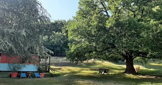 La Roulotte La Roulotte