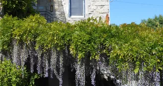 Gîte Mme Komar Gîte Mme Komar