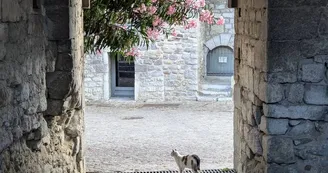 Gîte la Ritournelle Gîte la Ritournelle
