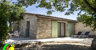 Le Mas de la Bastide - Vigne Le Mas de la Bastide - Vigne