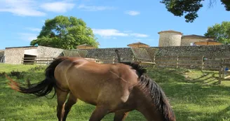 Château de Chaussy - Gite 6/8 Pers. - Gîte 4 Château de Chaussy - Gite 6/8 Pers. - Gîte 4