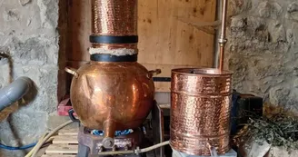 Distillerie du Bois de Païolive : Huiles essentielles et plus encore... Distillerie du Bois de Païolive : Huiles essentielles et plus encore...