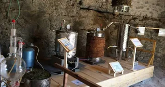 Distillerie du Bois de Païolive : Huiles essentielles et plus encore... Distillerie du Bois de Païolive : Huiles essentielles et plus encore...