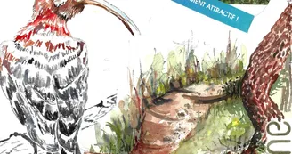 Ilda Roussel - Artiste aquarelliste Ilda Roussel - Artiste aquarelliste