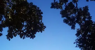 Les Faysses de l'Hêtre Les Faysses de l'Hêtre