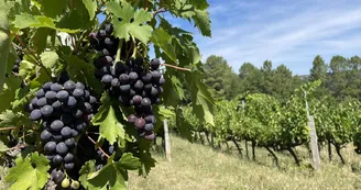 Domaine La Clef du Bonheur